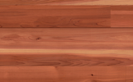 Cedar